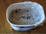 Ice-Cream-Freezer-Burn-300x225