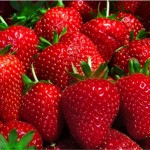 Kitchen Tip: How to Keep Strawberries Fresh…
