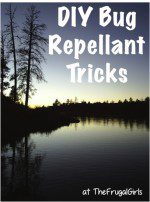 DIY Bug Repellent