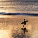 11 Fun Things to See and Do in Los Angeles!
