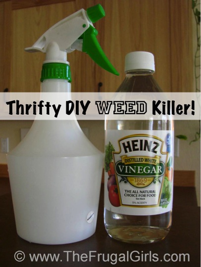 How do you use bleach for a weed killer?