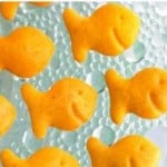 FREE e-Cookbook: 16 Copycat Recipes! {Goldfish Crackers, Haagen-Dazs Ice Cream + more!}