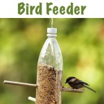 DIY Backyard Bird Feeder