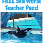 FREE Sea World Teacher Pass for 2013!