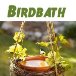 Easy DIY Birdbath