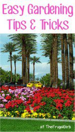 Easy Gardening Tips