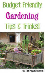 35 Gardening Tips And Tricks! {Best Budget Friendly Ideas}   The Frugal