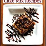 FREE e-Cookbook: 16 Slow Cooker Cake Mix Recipes