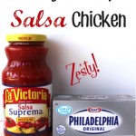 Crockpot Salsa Chicken Recipe