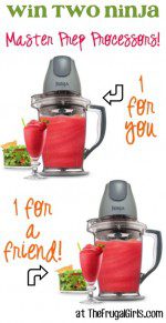 Win 2 Ninja Master Prep Processors at TheFrugalGirls.com