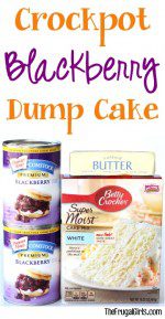 Crockpot Blackberry Dump Cake Recipe at TheFrugalGirls.com
