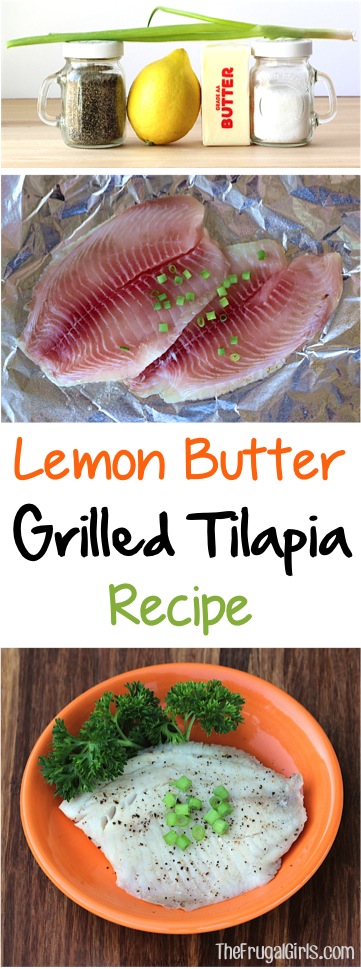 Easy Grilled Tilapia Recipe In Foil 5 Ingredients The Frugal Girls 