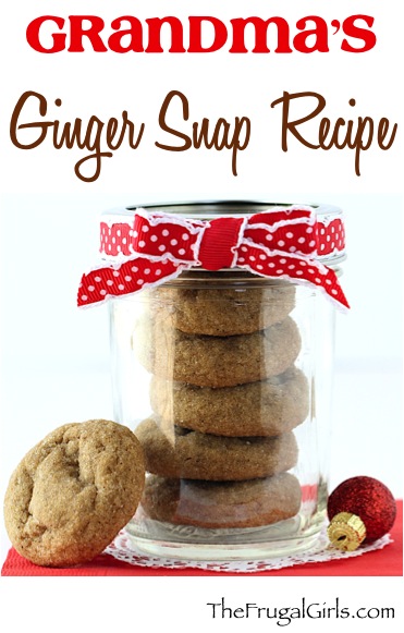 Ginger Snap Recipe at TheFrugalGirls.com