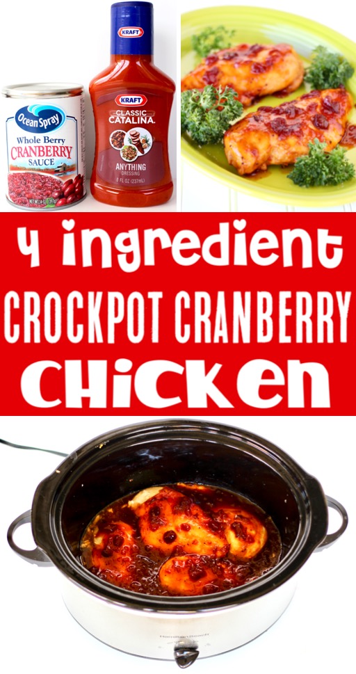 Crockpot Chicken Recipes Easy Healthy Cranberry Chicken Recipe