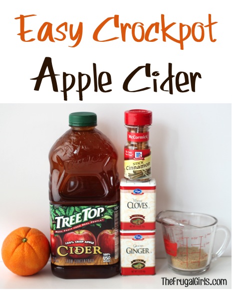 Easy Crockpot Apple Cider at TheFrugalGirls.com