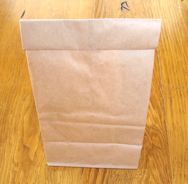 How to Make Microwave Popcorn with Paper Bag