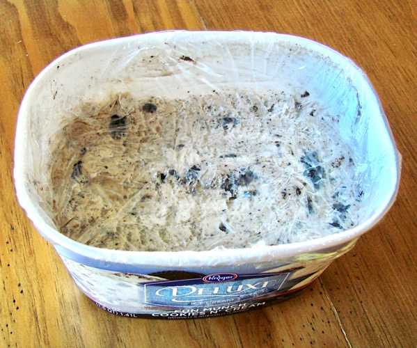 Storing ice cream in a Ziploc supposedly prevents freezer burn so we tested  it out