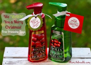 Wash You-A-Merry-Christmas-Printable-Tags