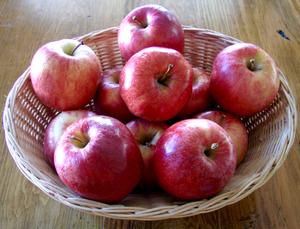 Crockpot Applesauce Recipe Easy