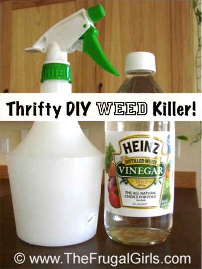 Homemade Weed Killer