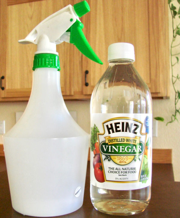 Homemade Weed Killer with White Vinegar