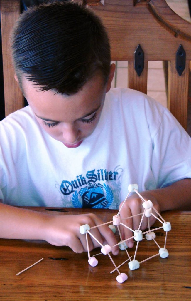 Toothpick Marshmallow House Craft = Fun Boredum Buster!