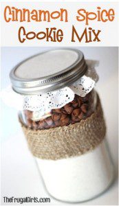 101 Gifts in a Jar Recipes! {Fun Homemade Mason Jar Gifts}