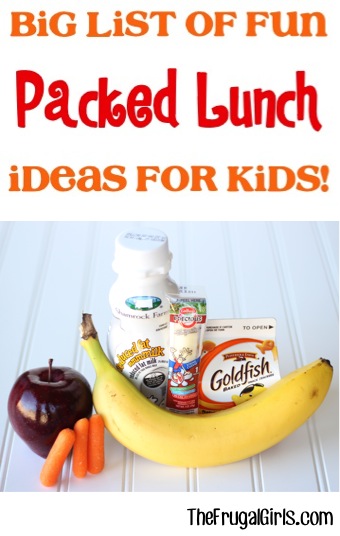 Fun Packed Lunch Ideas for Kids ~ from TheFrugalGirls.com