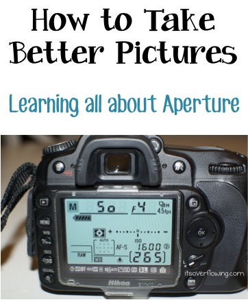 How to Take Better Pictures - Learning all About Aperture at TheFrugalGirls.com