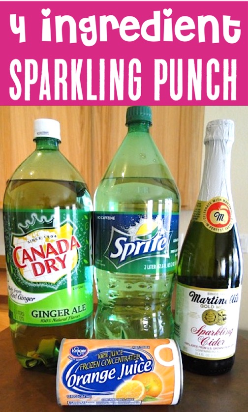 Punch Recipes - Easy Sparkling Apple Orange Party Punch Recipe