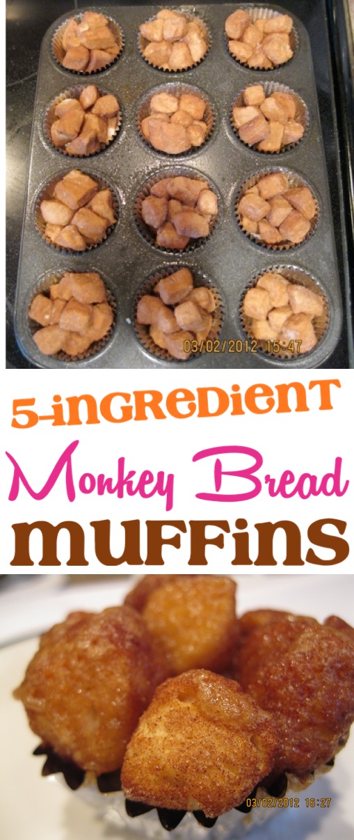 Monkey Bread Muffins Recipe with Canned Biscuits Easy Monkey Bread Muffin Recipes