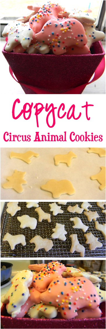 Copycat Circus Animal Cookies Recipe