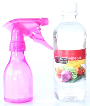 26 Genius Vinegar Cleaning Hacks From a Cleaning Pro - Frugally Blonde