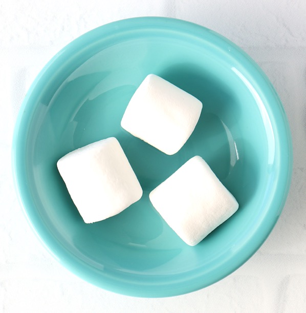 https://thefrugalgirls.com/wp-content/uploads/2012/05/How-to-Keep-Brown-Sugar-Soft-Marshmallow.jpg