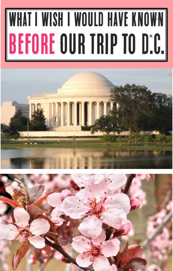 Washington DC Travel Tips - Things to Do in D.C. with Kids and Family