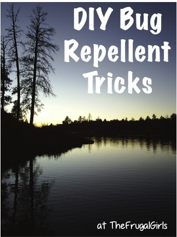 DIY Bug Repellent Tricks