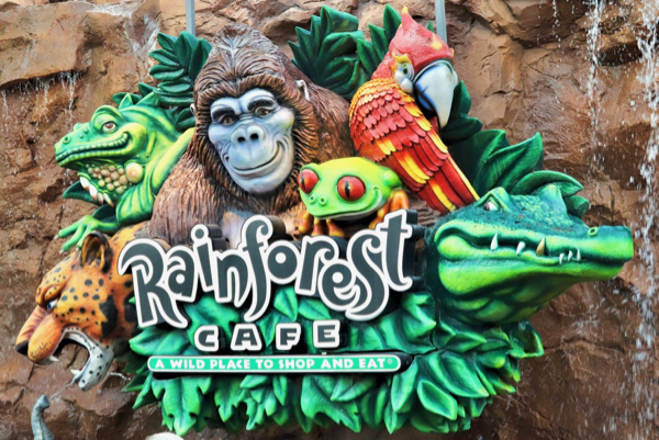 Rainforest Cafe at Disney Springs