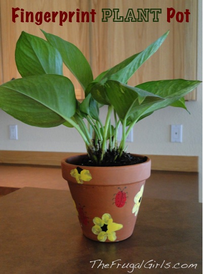 Fingerprint Flower Pot