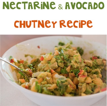 Nectarine Avocado Chutney Recipe at TheFrugalGirls.com