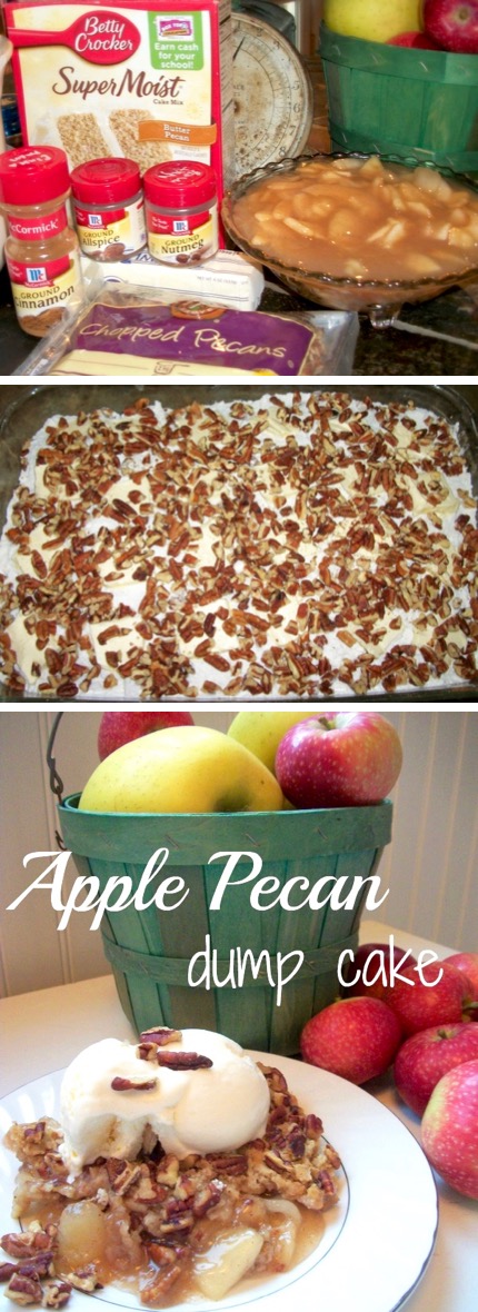 Apple Dump Cake Recipe