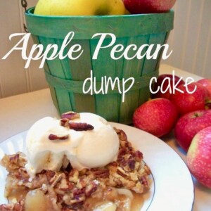 Cake on a plate with text "Apple Pecan Dump Cake."