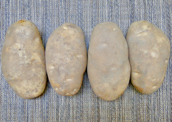 Crock Pot Potatoes