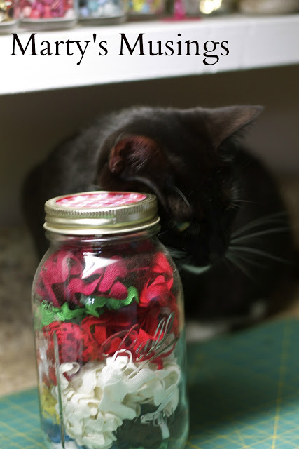Funny Mason Jar Cat
