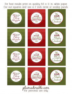 We Wash You a Merry Christmas! (Printable Tags) - The Frugal Girls