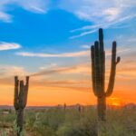 Things to Do in Phoenix Today
