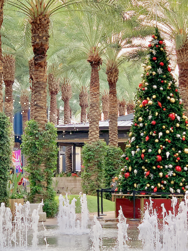 Things to Do in Phoenix at Christmas