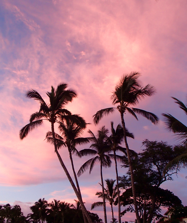 Kauai Hawaii Travel Tips