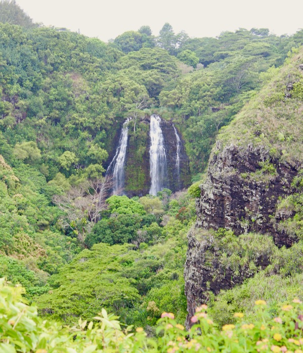 Opaekaa Falls Kauai