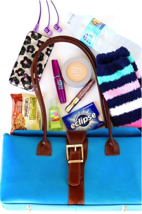 11 Carry On Must Haves for your next flight from TheFrugalGirls.com