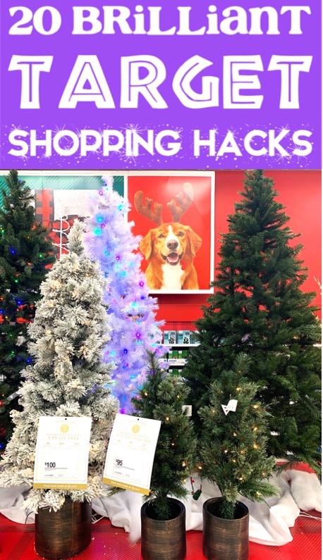 Christmas Decorations for the Home - Target Hacks to Save BIG on Outdoor and Indoor Decor Ideas